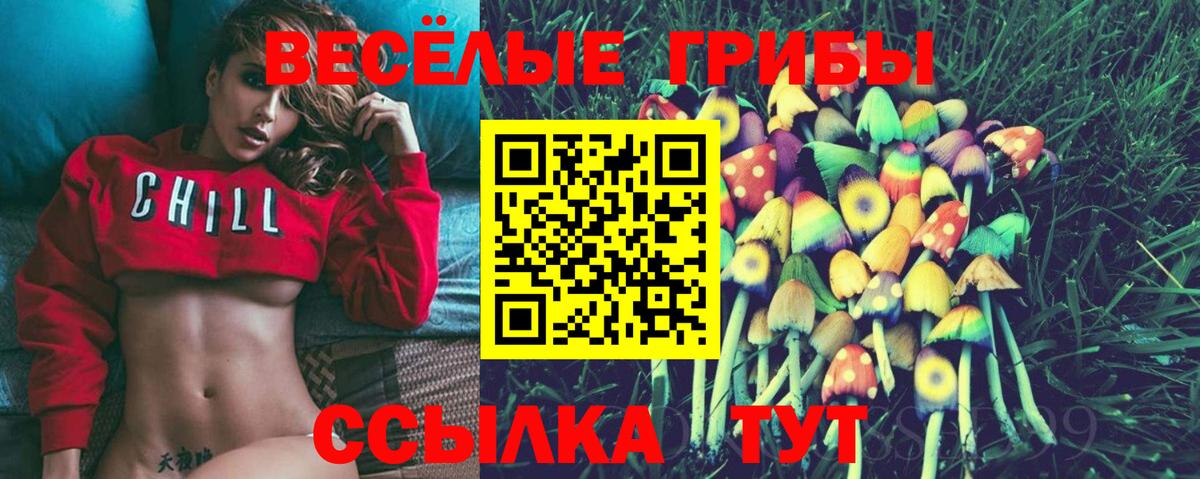 Рославль  Псилоцибиновые грибы MAGIC MUSHROOMS  Вход с VPN  Галлюциногенные грибы MAGIC MUSHROOMS 