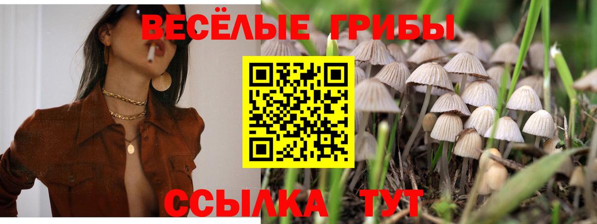 Псилоцибиновые грибы мицелий Рославль